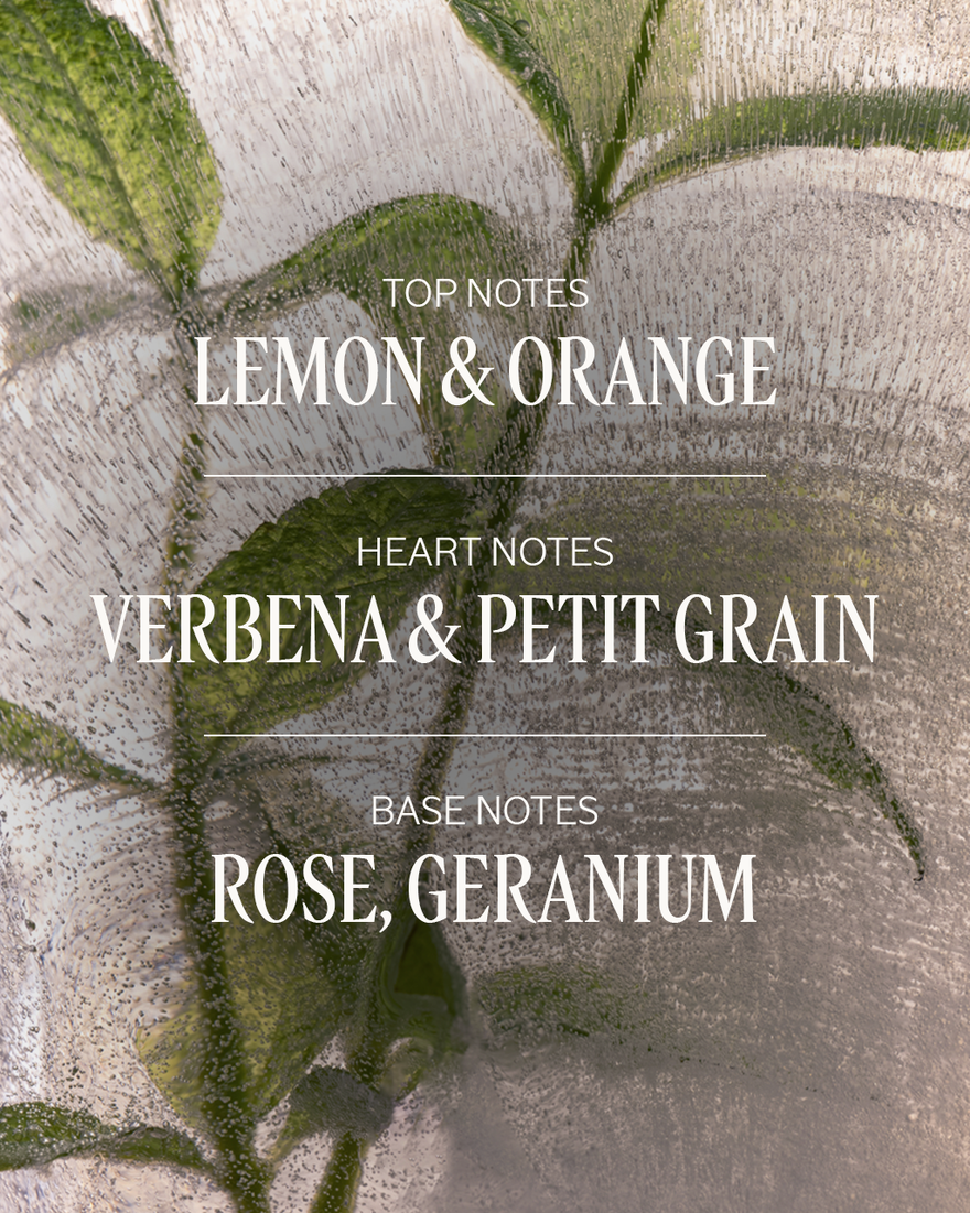 Verbena Eau de Toilette, AURECT (2) 100 ml | L&rsquo;OCCITANE Australia