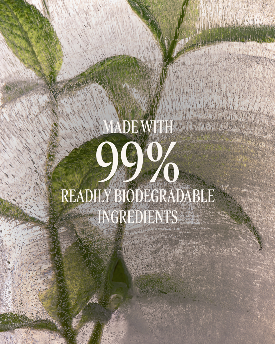 Verbena Shower Gel Refill, AURECT (2) 500 ml | L&rsquo;OCCITANE Australia