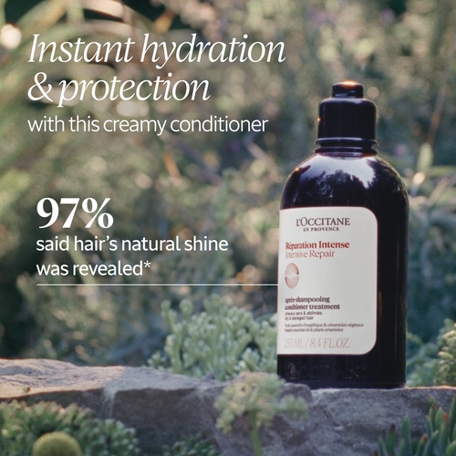 Intensive Repair Conditioner 500ml | L'Occitane Australia
