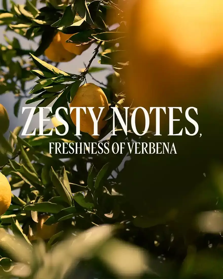 view 4/6 of Citrus Verbena Shower Gel, , AURECT