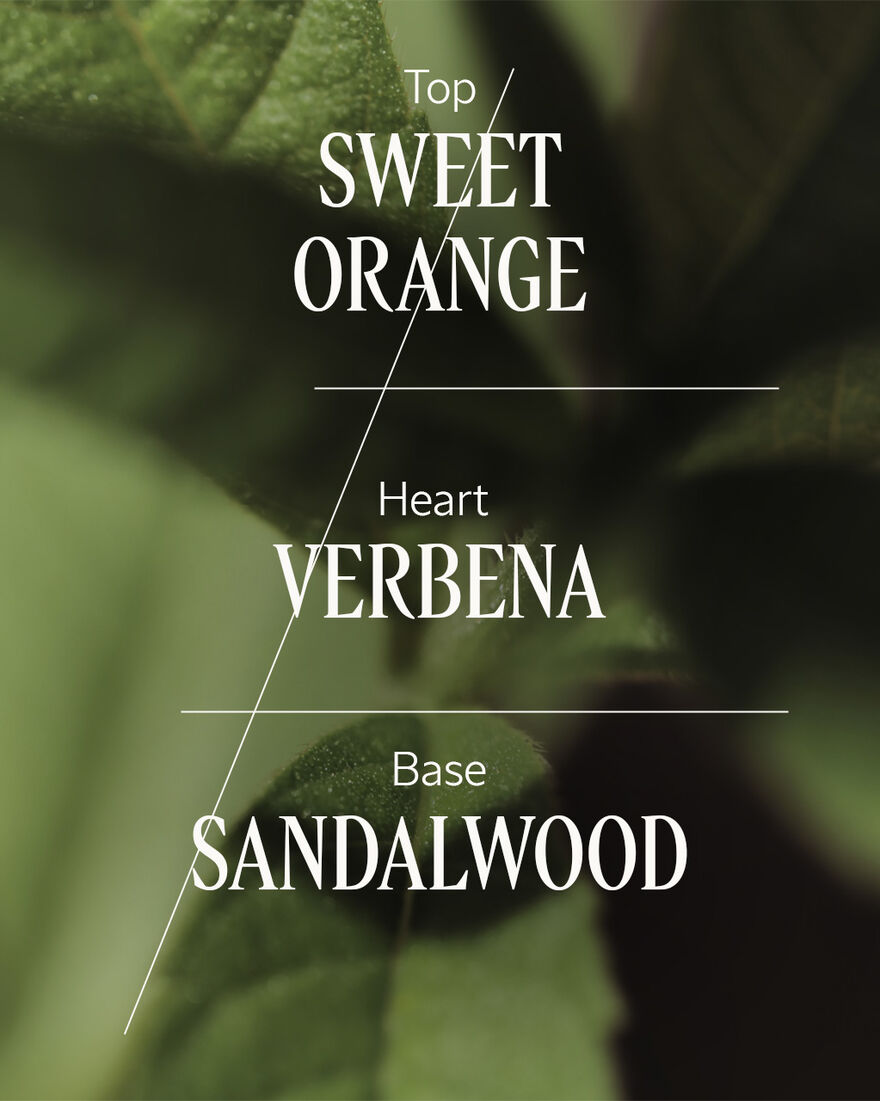 view 3/5 of Verveine Santal Home Diffuser Set, , AURECT