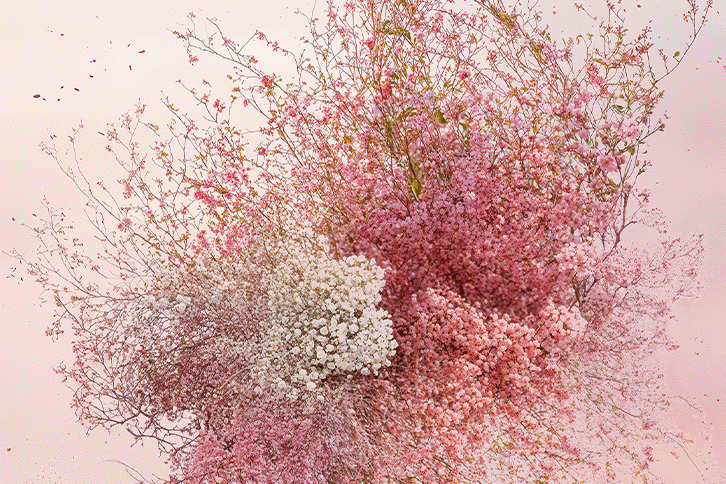 Noble Epine Eau de Parfum : Blooming Grace