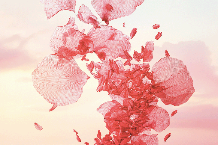 Fleurs de Cerisier Eau de Toilette: The Essence of Delicacy