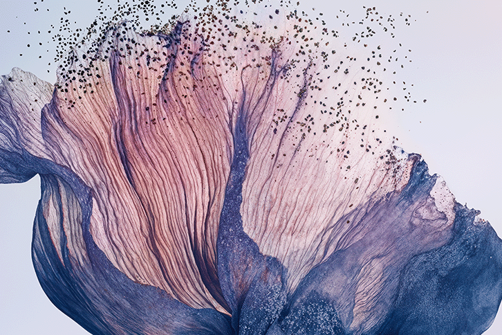 Lavande Poivre Noir Eau de Toilette : Wild Lavender