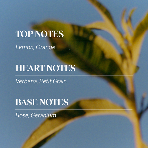 Verbena Classic Collection L OCCITANE Australia verbena-classic-collection-l-occitane-australia